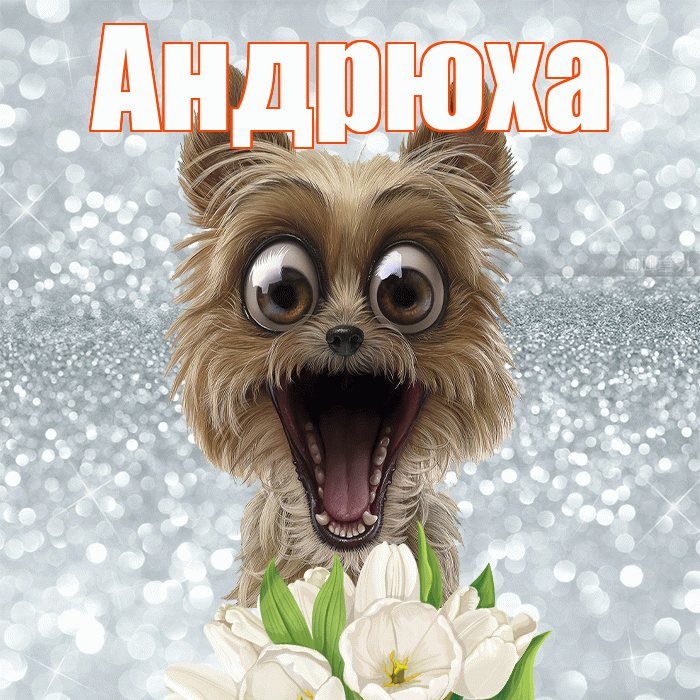 Андрюха! С добрым утром! Красивая открытка !
