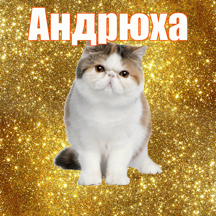 Андрюха! С добрым утром! Красивая открытка !