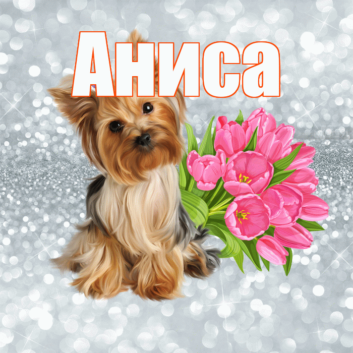 Аниса! С добрым утром! Красивая открытка Анисе!