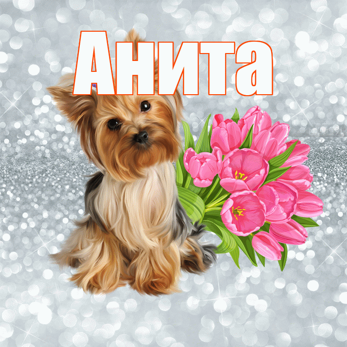 Анита! С добрым утром! Красивая открытка Аните!