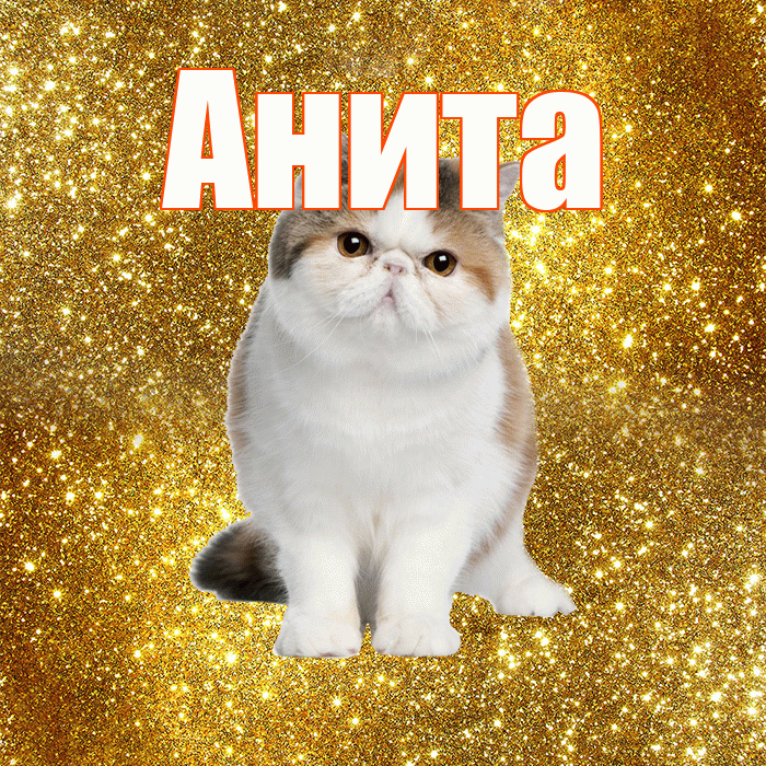 Анита! С добрым утром! Красивая открытка Аните!