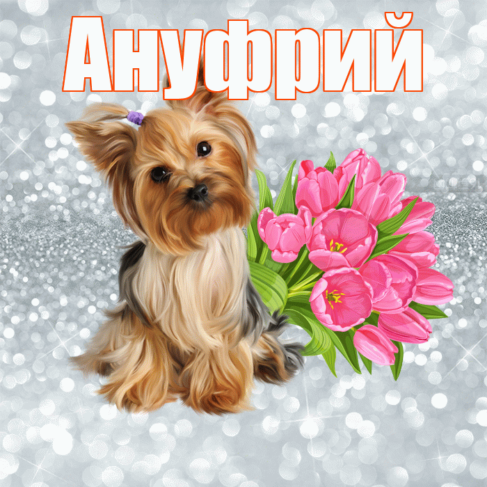 Ануфрий! С добрым утром! Красивая открытка Ануфрию!