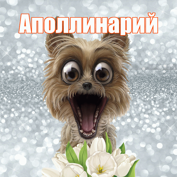 Аполлинарий! С добрым утром! Красивая открытка Аполлинарию!