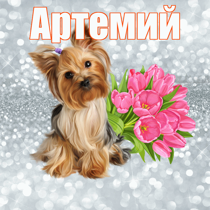 Артемий! С добрым утром! Красивая открытка Артемию!