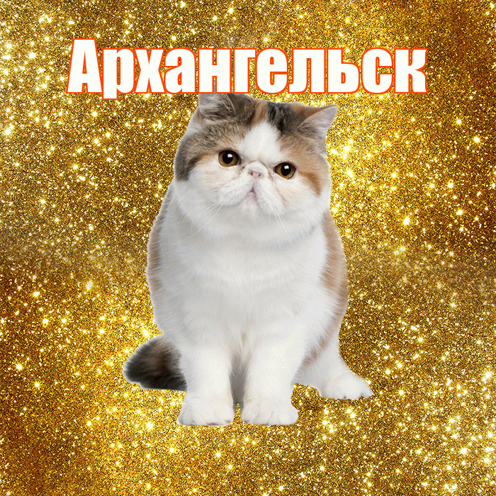 Архангельск! С добрым утром! Красивая открытка Архангельску!