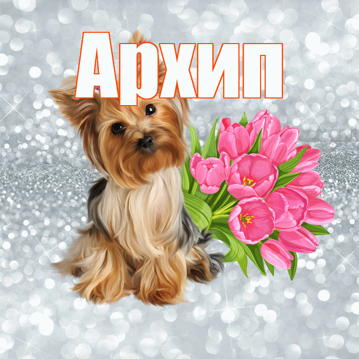 Архип! С добрым утром! Красивая открытка Архипу!