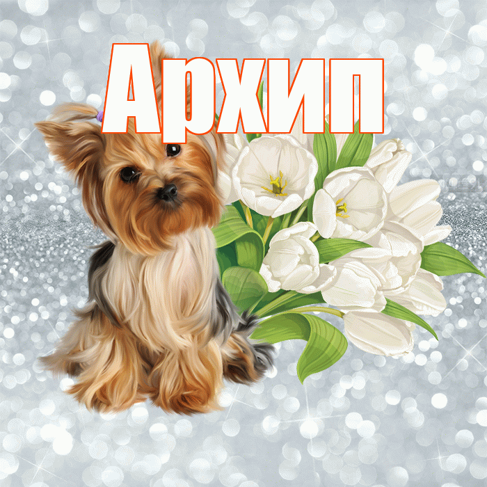 Архип! С добрым утром! Красивая открытка Архипу!