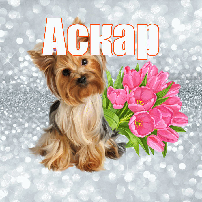 Аскар! С добрым утром! Красивая открытка Аскару!