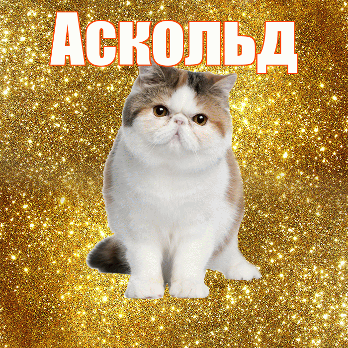 Аскольд! С добрым утром! Красивая открытка Аскольду!