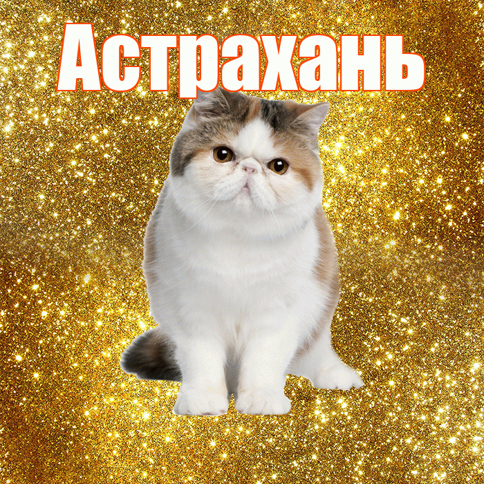 Астрахань! С добрым утром! Красивая открытка Астраханю!