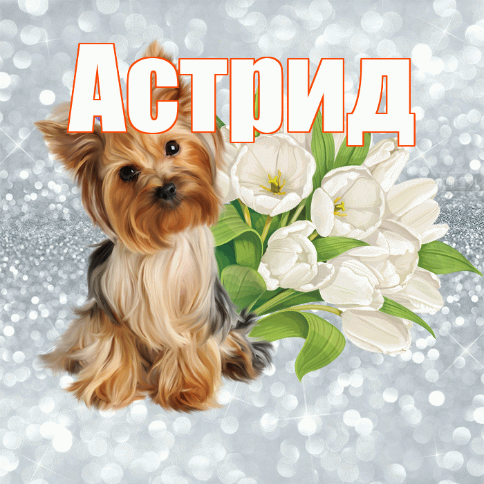 Астрид! С добрым утром! Красивая открытка Астриде!