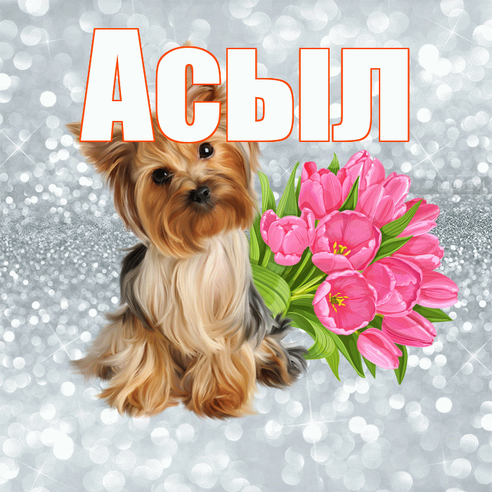Асыл! С добрым утром! Красивая открытка Асылу!