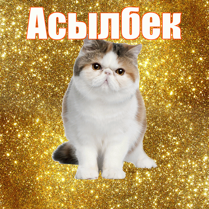 Асылбек! С добрым утром! Красивая открытка Асылбеку!