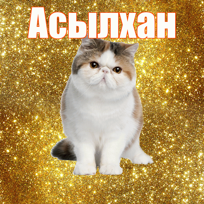 Асылхан! С добрым утром! Красивая открытка Асылхану!
