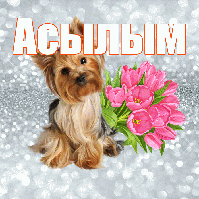 Асылым! С добрым утром! Красивая открытка Асылым!