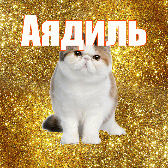 Аядиль! С добрым утром! Красивая открытка Аядилю!