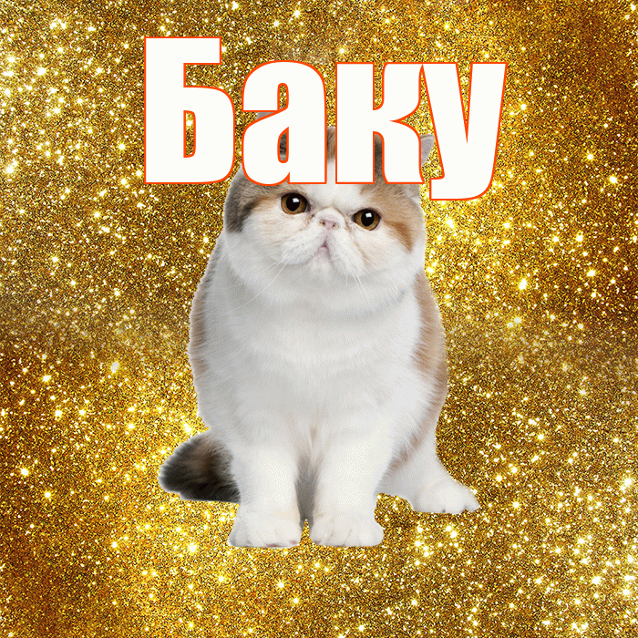 Баку! С добрым утром! Красивая открытка Баку!