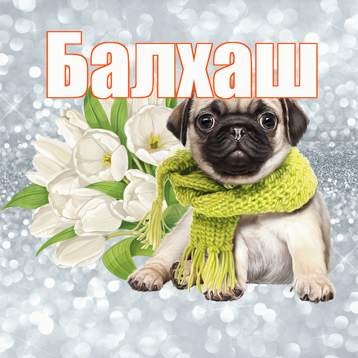 Балхаш! С добрым утром! Красивая открытка Балхашу!