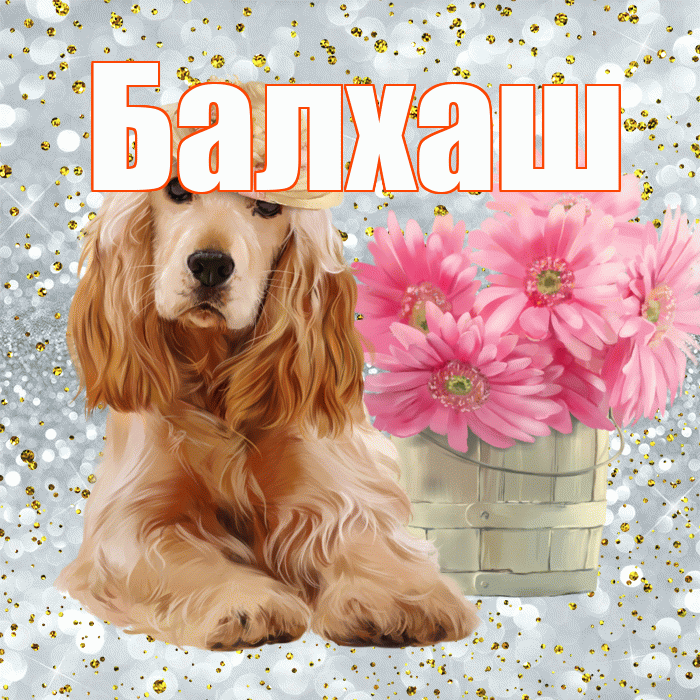Балхаш! С добрым утром! Красивая открытка Балхашу!
