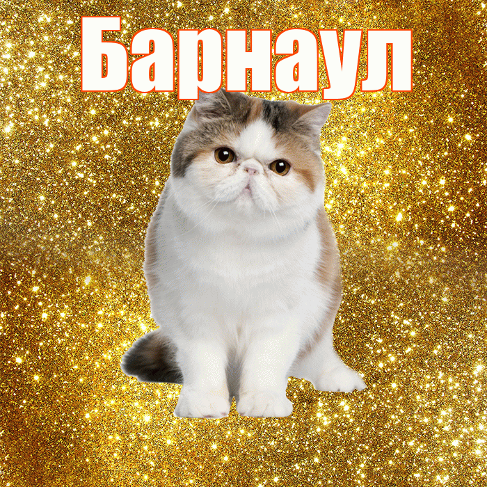 Барнаул! С добрым утром! Красивая открытка Барнаулу!