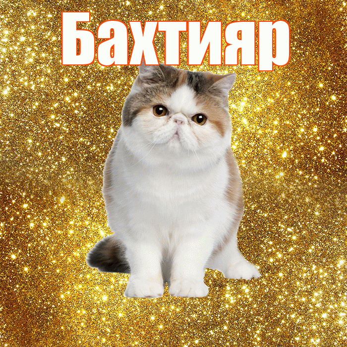 Бахтияр! С добрым утром! Красивая открытка Бахтияру!