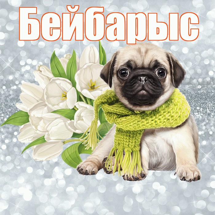 Бейбарыс! С добрым утром! Красивая открытка Бейбарысу!