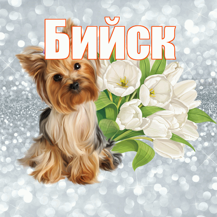 Бийск! С добрым утром! Красивая открытка Бийску!