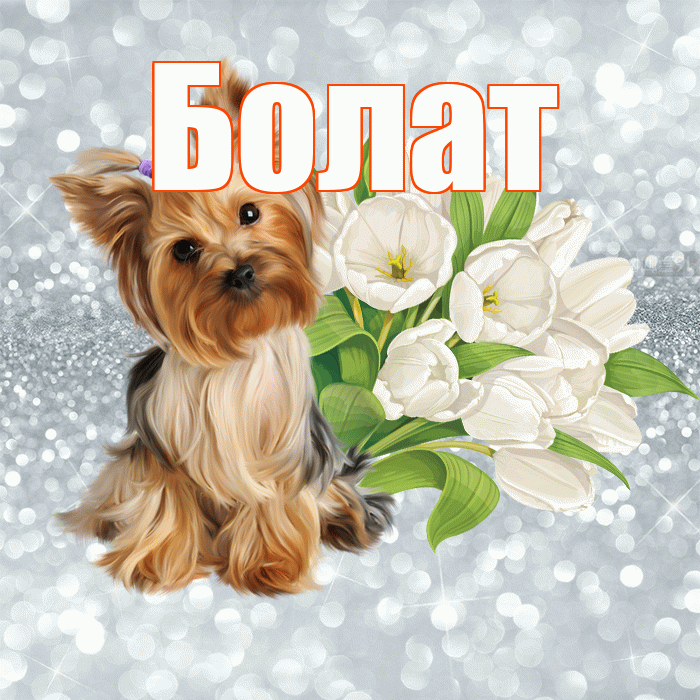 Болат! С добрым утром! Красивая открытка Болату!