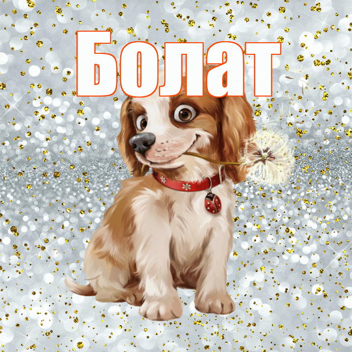 Болат! С добрым утром! Красивая открытка Болату!