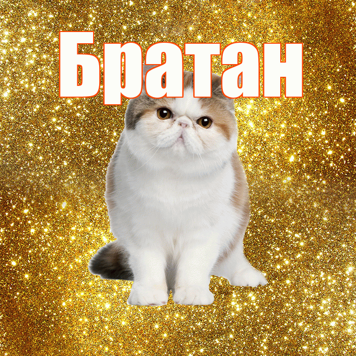 Братан! С добрым утром! Красивая открытка Братану!