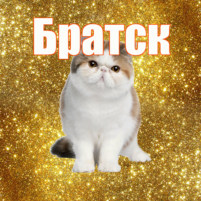 Братск! С добрым утром! Красивая открытка Братску!