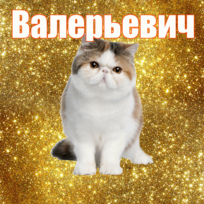 Валерьевич! С добрым утром! Красивая открытка Валерьевичу!