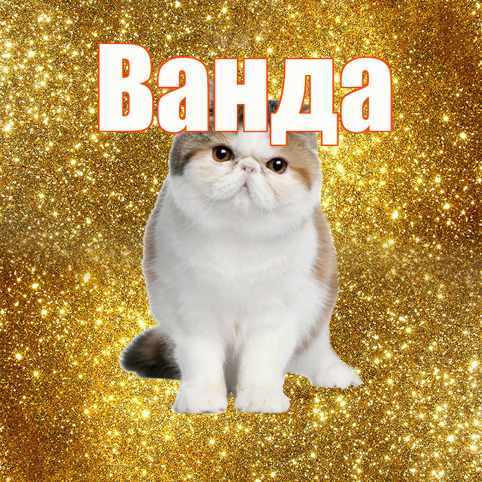 Ванда! С добрым утром! Красивая открытка Ванде!