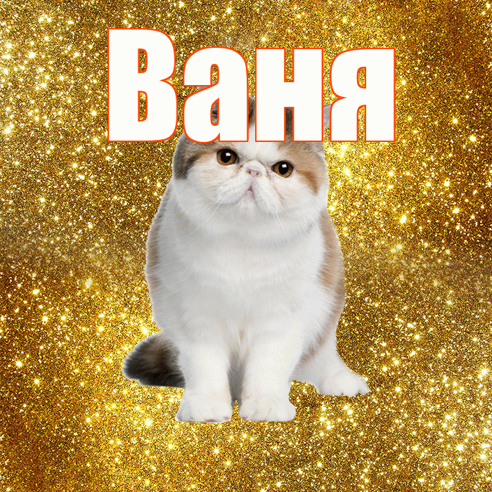 Ваня! С добрым утром! Красивая открытка Ване!
