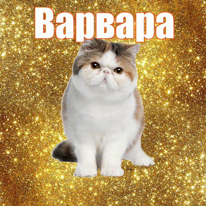 Варвара! С добрым утром! Красивая открытка Варваре!