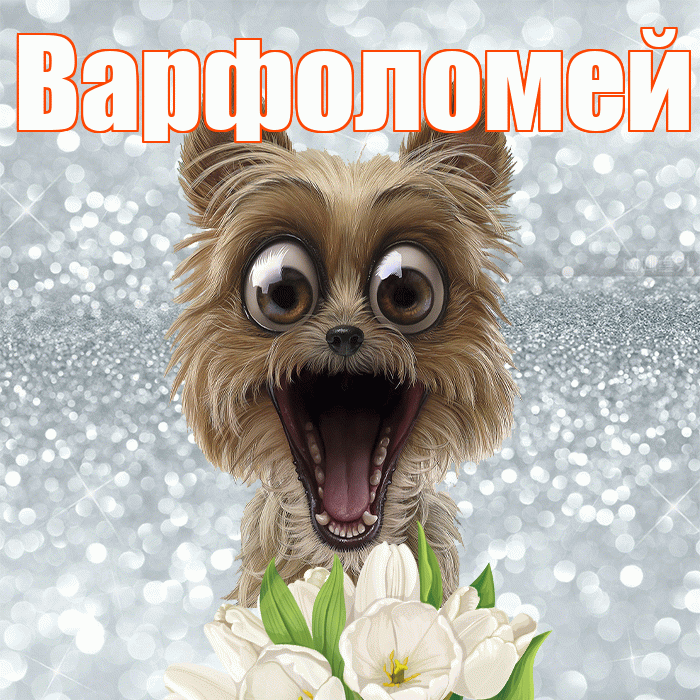 Варфоломей! С добрым утром! Красивая открытка Варфоломею!