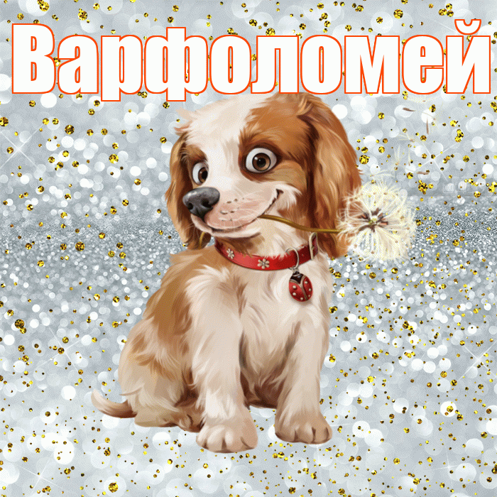 Варфоломей! С добрым утром! Красивая открытка Варфоломею!