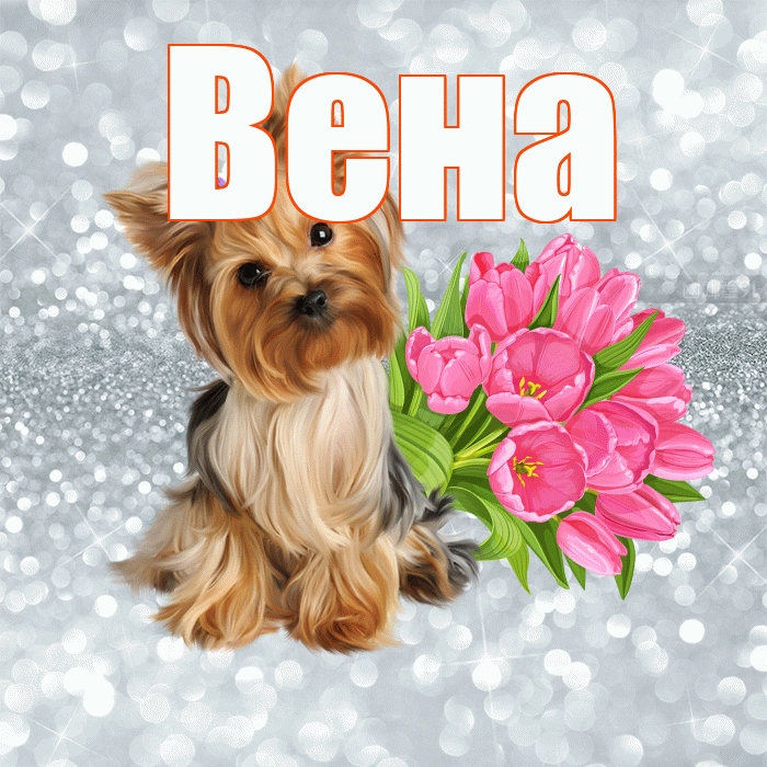 Вена! С добрым утром! Красивая открытка Вене!