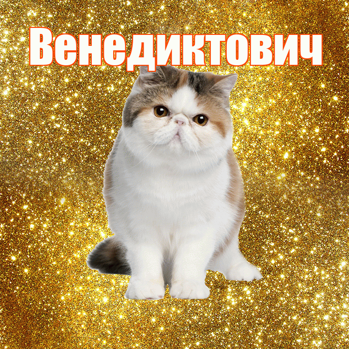 Венедиктович! С добрым утром! Красивая открытка Венедиктовичу!