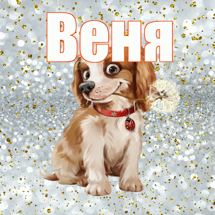 Веня! С добрым утром! Красивая открытка Вене!