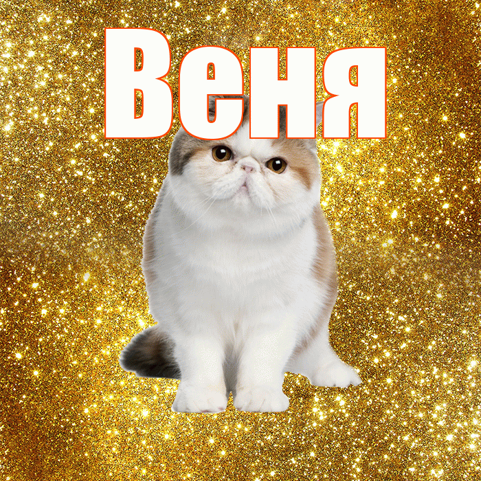 Веня! С добрым утром! Красивая открытка Вене!