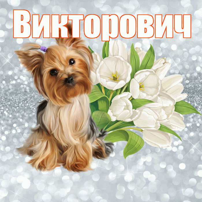 Викторович! С добрым утром! Красивая открытка Викторовичу!