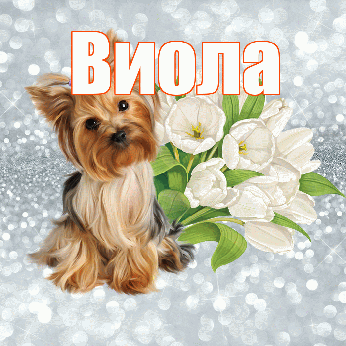 Виола! С добрым утром! Красивая открытка !