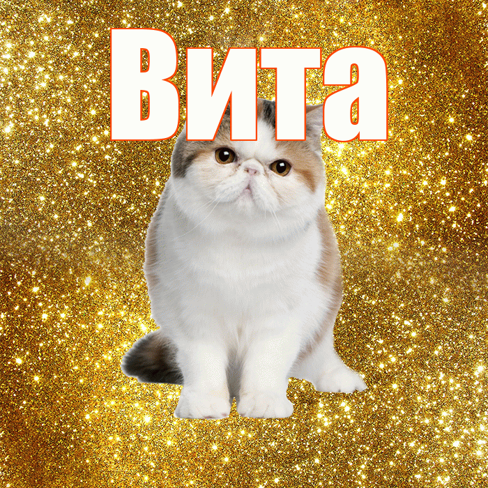 Вита! С добрым утром! Красивая открытка !