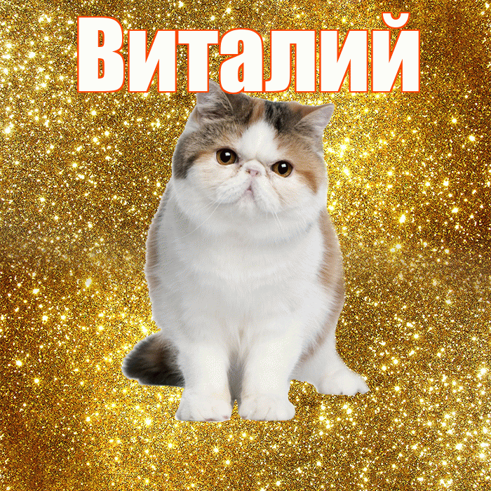 Виталий! С добрым утром! Красивая открытка Виталию!