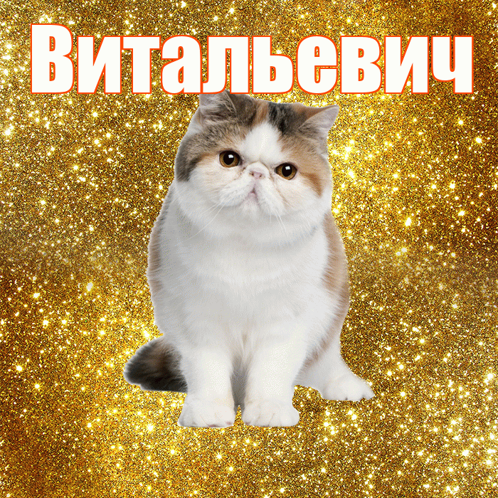 Витальевич! С добрым утром! Красивая открытка Витальевичу!