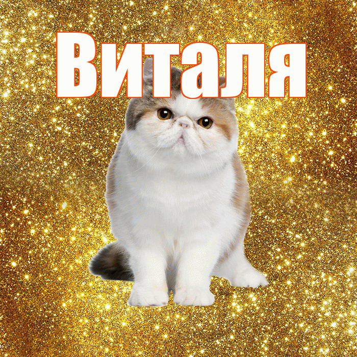Виталя! С добрым утром! Красивая открытка Виталю!