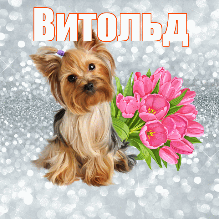 Витольд! С добрым утром! Красивая открытка Витольду!