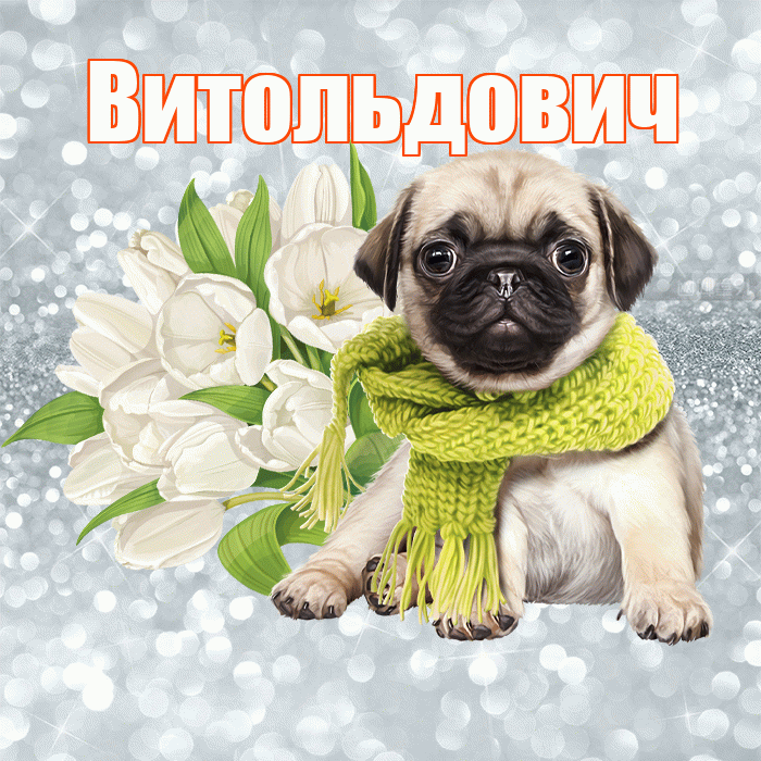 Витольдович! С добрым утром! Красивая открытка Витольдовичу!