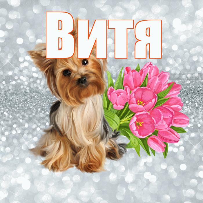 Витя! С добрым утром! Красивая открытка Вите!
